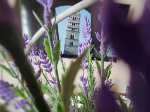 Apartamento Borgo In Citt�