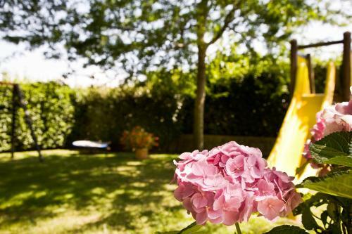Agroturismo Casale Dell'orso