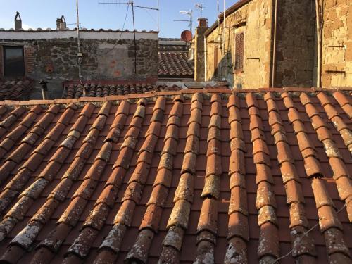 Apartamento Zucca House