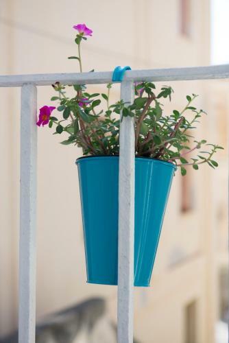 Hostal Residenza Maria Antonietta - 50 Metri Dal Mare
