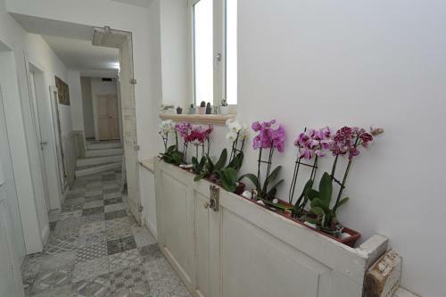 Apartamento Angels'home A 'n D