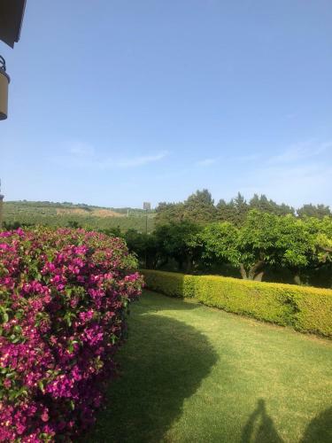 Apartamento Casa Clementina