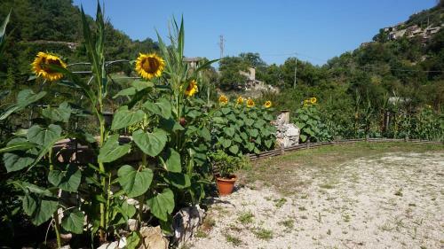 La Locanda Del Frullo
