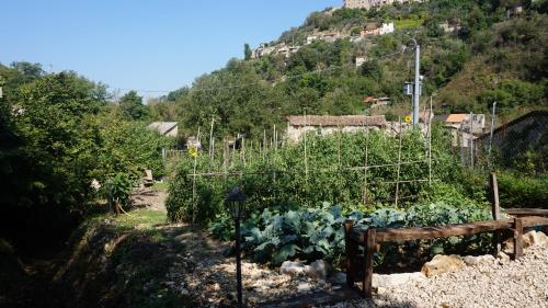 La Locanda Del Frullo
