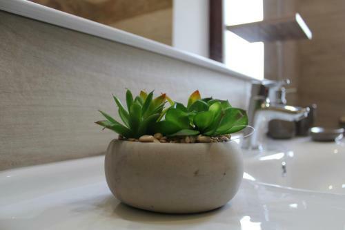 Apartamento Casa San Giacomo