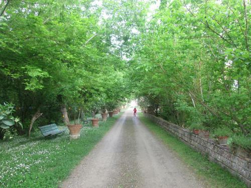 Apartamento Ginestra