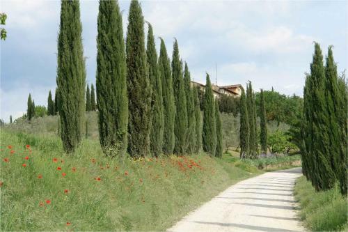 Apartamento Ginestra