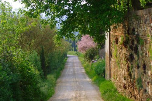 Apartamento Ginestra