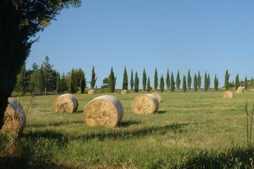 Apartamento Giaggiolo