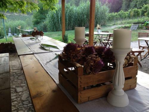 Agroturismo Agriturismo Le Cantine