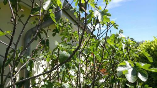 Apartamento Ferienwohnung M�we