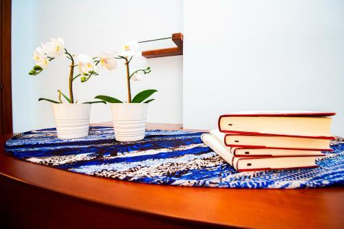 Pisa Books & Tower Apartment