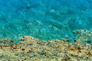Hotel Blue Palace Resort And Spa