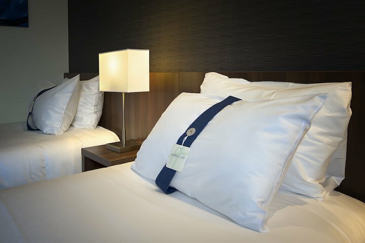 Hotel Holiday Inn Express Lille Centre