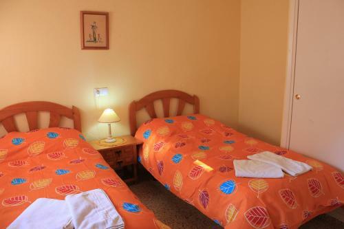 Apartamentos Congo