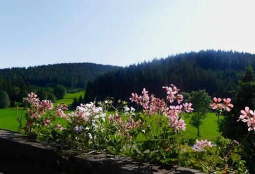 Hostal Landhotel Restaurant Jostalst�ble