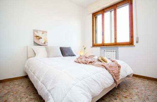 Pisa Riverside Apartment