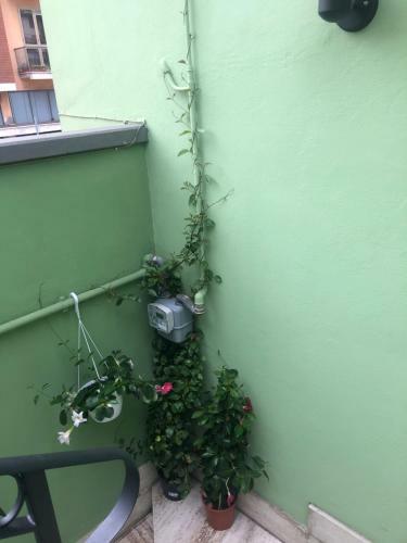 Hostal "tom & Jerry" Da Anna