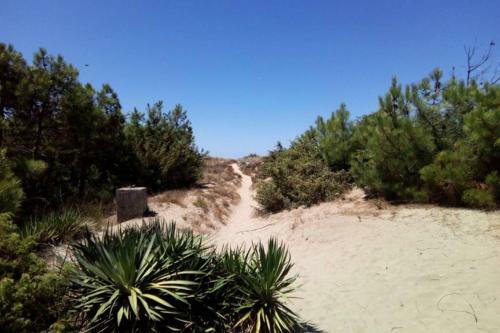 Apartamento In Parco Naturale, Con Accesso Diretto Alla Spiaggia