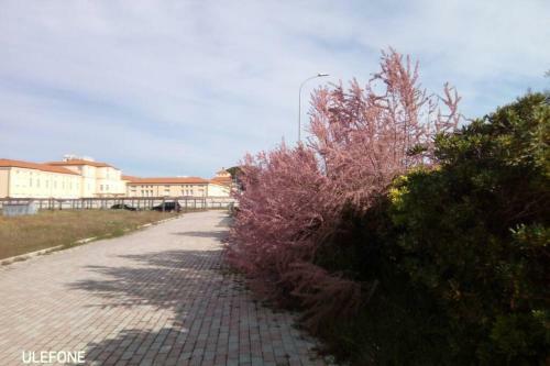 Apartamento In Parco Naturale, Con Accesso Diretto Alla Spiaggia