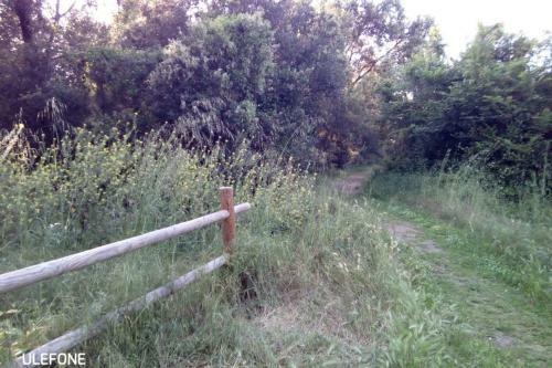 Apartamento In Parco Naturale, Con Accesso Diretto Alla Spiaggia