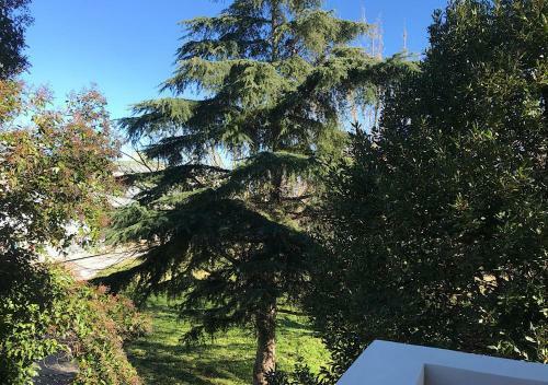Apartamento Appartamento La Perla Bianca
