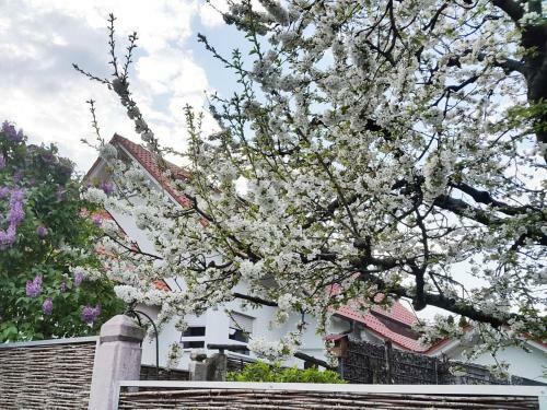 Apartamento Ferienwohnung Auernig