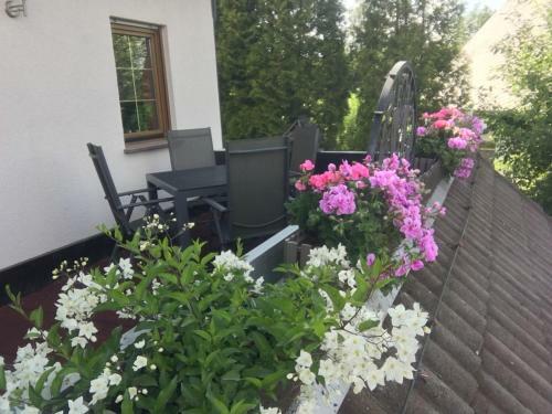 Apartamento Schlossblick Lauenstein