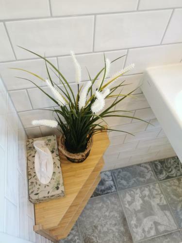Apartamento Ferienhaus Theodor Og