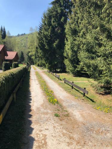 Ferienh�user Am Waldschl��chen