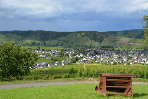 Hostal Weingut***pension G�nther Scholtes