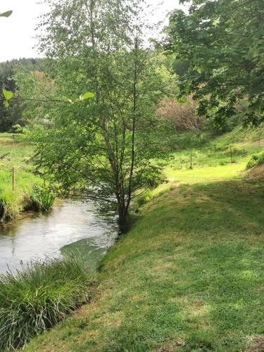 Apartamento Ferienwohnung Am Salzbach