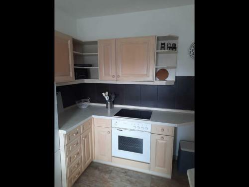 Apartamento Ferienwohnung Greim Vogtland