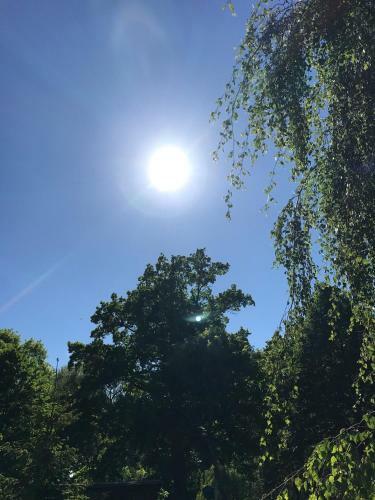 Apartamento Ferienwohnung Im Park