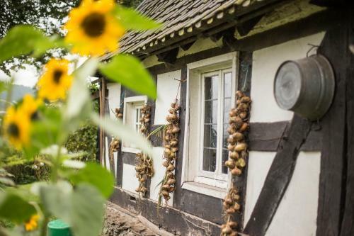 Apartamentos Ferienhof Richard