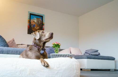 Apartamento Ferienwohnung Rauszeit Lennestadt Sauerland