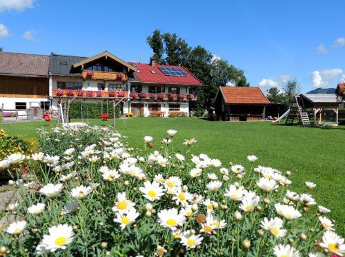Apartamentos Streidlhof