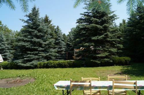 Ferienhaus Zum Jagdschl�sschen