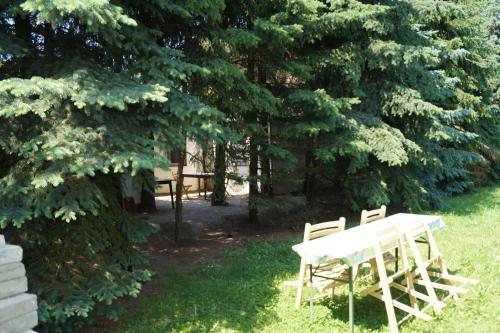 Ferienhaus Zum Jagdschl�sschen