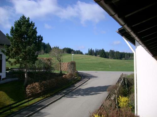 Apartamento Kuckucksnest Lenzkirch