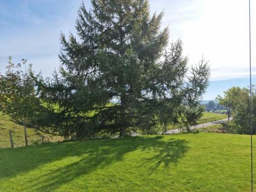 Apartamentos Ferienwohnung Schwarzwald-alpenblick