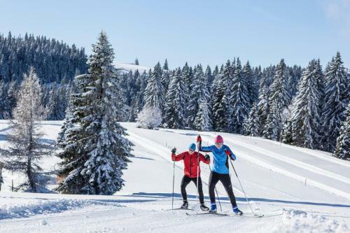 Schwarzwaldhaus Krebs - Peter Lustig, Lenzkirch, Feldberg