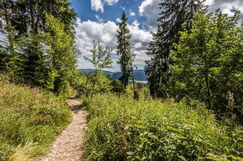 Schwarzwaldhaus Krebs - Peter Lustig, Lenzkirch, Feldberg