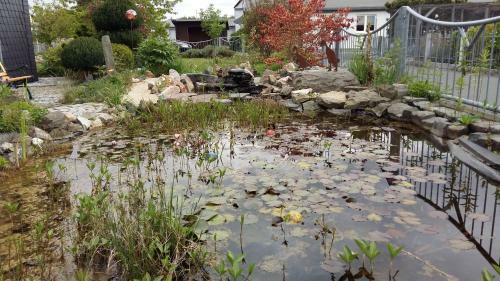 Bed & Breakfast B & B G�stehaus Schmidt