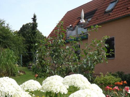 Hostal Ferienwohnung Am Panoramaweg