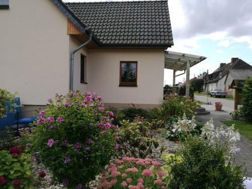 Seeidylle Mit Ruderboot, Terrasse & Parkplatz - Abc129