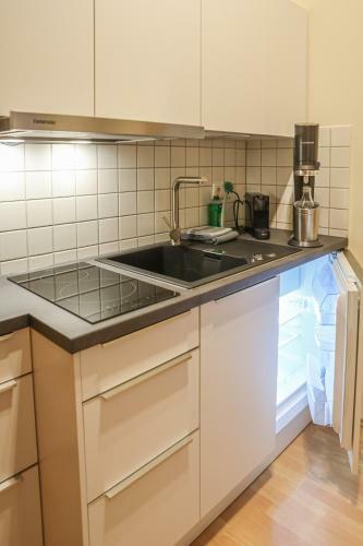Sleepwell Apartment - Emilienblick