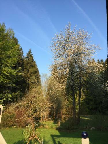 Apartamento Das Alte Forsthaus Spiegelh�tte