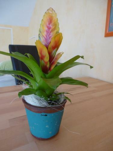 Apartamento Top Ferienwohnung Limburg "am Bildstock"