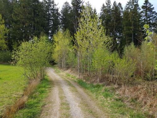Apartamento Ferienappartement Am Nadenberg